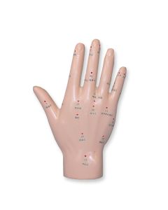 Akupunkturmodell Hand